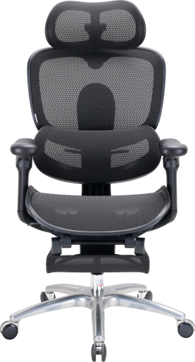 C300LITEV2FootrestBlack