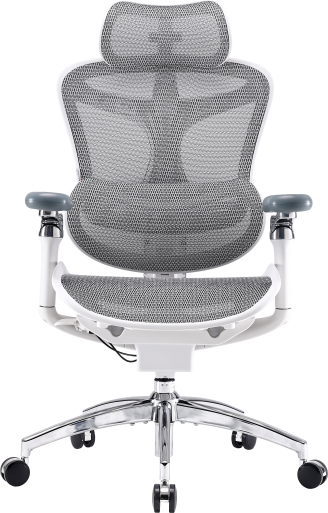 Крісло офісне Sihoo DORO C300 Pro Mesh White