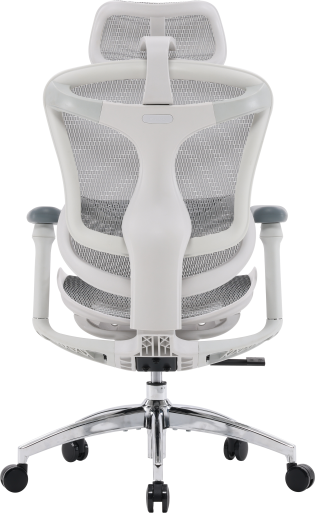 Крісло офісне Sihoo DORO C300L Mesh White