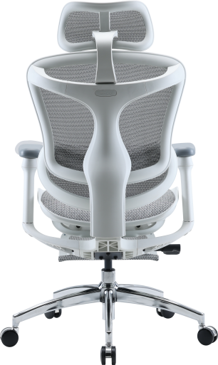 Крісло офісне з підставкою для ніг Sihoo DORO C300L Mesh White with footrest