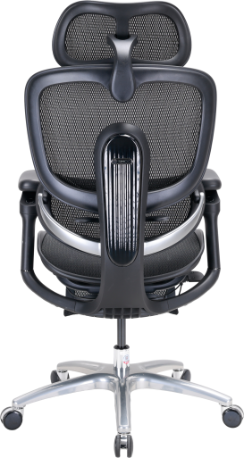 C300LITEV2FootrestBlack