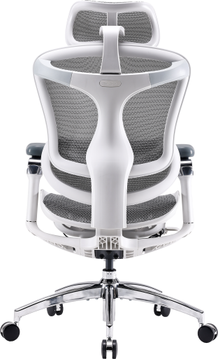Крісло офісне Sihoo DORO C300 Pro Mesh White