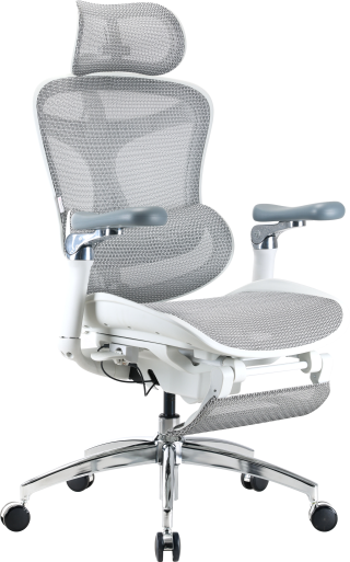 Крісло офісне з підставкою для ніг Sihoo DORO C300 Pro Mesh White with footrest
