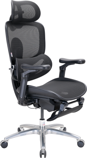 C300LITEV2FootrestBlack