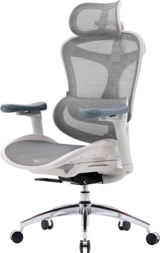 Крісло офісне Sihoo DORO C300L Mesh White