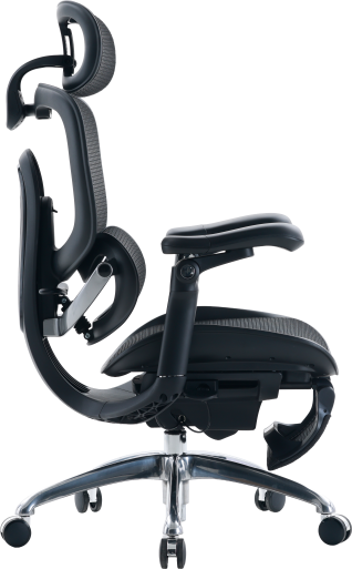 C300PROV2FootrestBlack