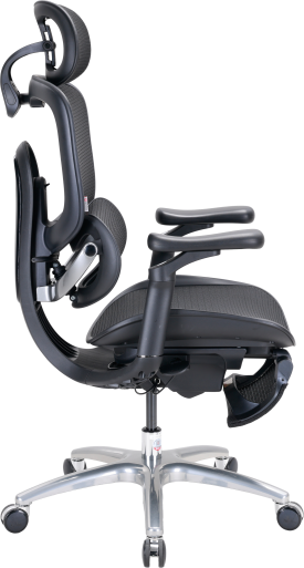 C300LITEV2FootrestBlack