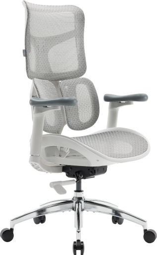 Крісло офісне Sihoo DORO S100 Mesh White