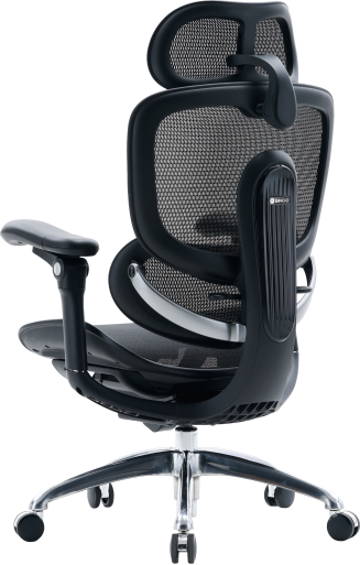C300PROV2Black