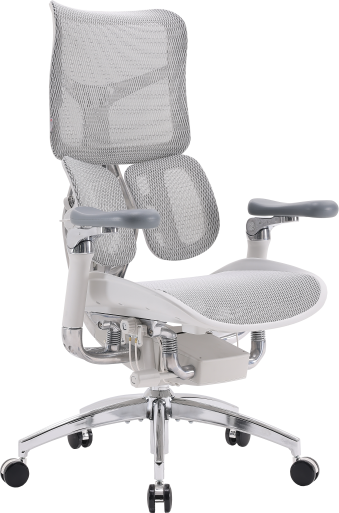 Крісло офісне Sihoo DORO S300 Mesh Light Grey
