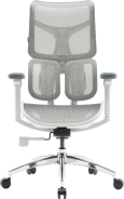Крісло офісне Sihoo DORO S100 Mesh White