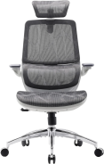 Крісло офісне Sihoo M59AS Mesh Gray