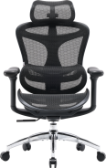 Крісло офісне Sihoo DORO C300L Mesh Black