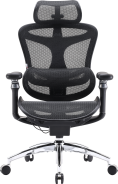 Крісло офісне Sihoo DORO C300 Pro Mesh Black