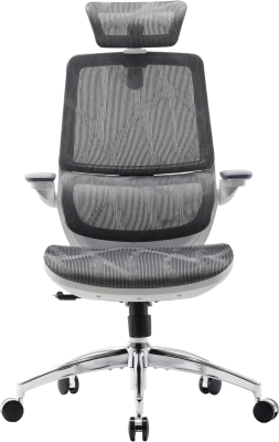 Крісло офісне Sihoo M59AS Mesh Gray