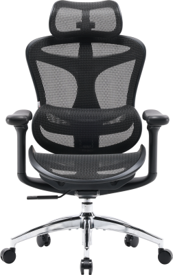Крісло офісне Sihoo DORO C300L Mesh Black