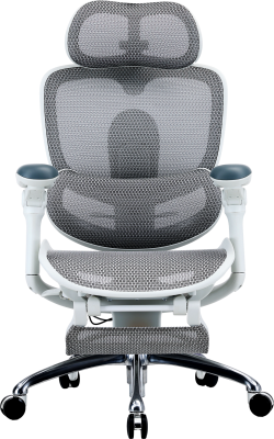 C300PROV2FootrestWhite