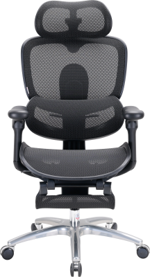 C300LITEV2FootrestBlack