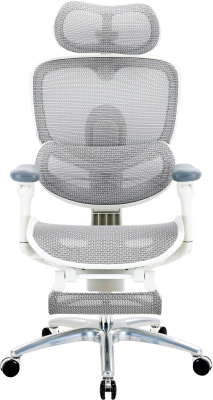 C300LITEV2FootrestWhite