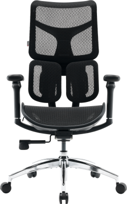 Крісло офісне Sihoo DORO S100 Mesh Black