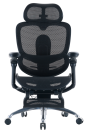 C300PROV2FootrestBlack