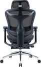 Крісло офісне з підставкою для ніг Sihoo DORO C300L Mesh Black with footrest