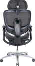 C300LITEV2FootrestBlack