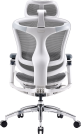 Крісло офісне Sihoo DORO C300 Pro Mesh White