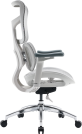 Крісло офісне Sihoo DORO S100 Mesh White