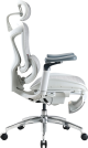 Крісло офісне з підставкою для ніг Sihoo DORO C300 Pro Mesh White with footrest